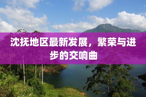 沈抚地区最新发展，繁荣与进步的交响曲
