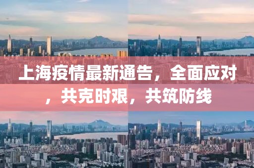 上海疫情最新通告，全面应对，共克时艰，共筑防线