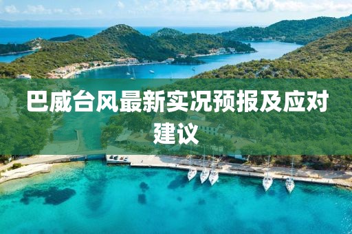 巴威台风最新实况预报及应对建议