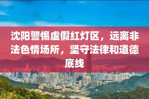 沈阳警惕虚假红灯区，远离非法色情场所，坚守法律和道德底线