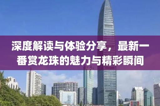 深度解读与体验分享，最新一番赏龙珠的魅力与精彩瞬间