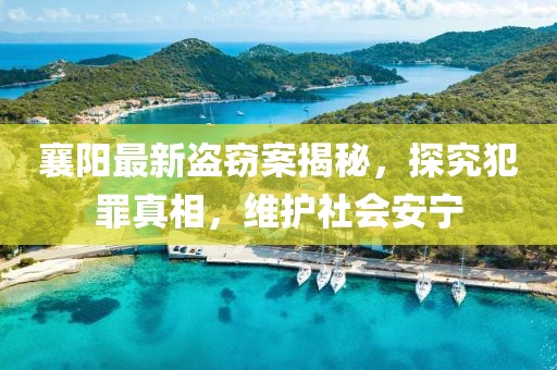 襄阳最新盗窃案揭秘，探究犯罪真相，维护社会安宁
