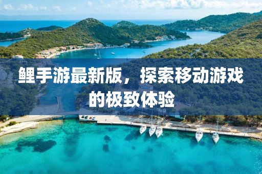 鲤手游最新版，探索移动游戏的极致体验