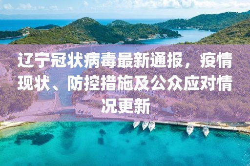 辽宁冠状病毒最新通报，疫情现状、防控措施及公众应对情况更新