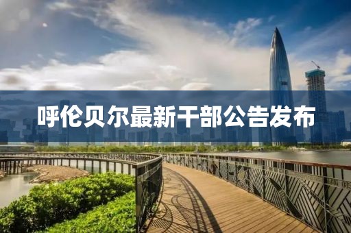 呼伦贝尔最新干部公告发布