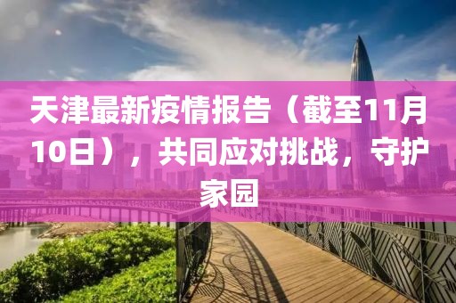 天津最新疫情报告（截至11月10日），共同应对挑战，守护家园