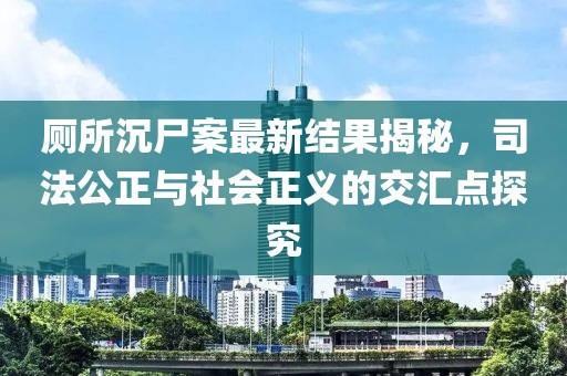 厕所沉尸案最新结果揭秘，司法公正与社会正义的交汇点探究