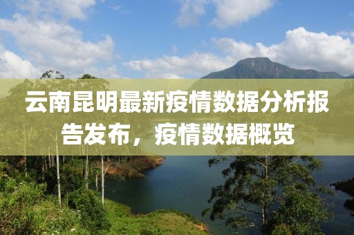 云南昆明最新疫情数据分析报告发布，疫情数据概览