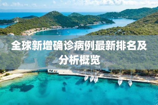 全球新增确诊病例最新排名及分析概览