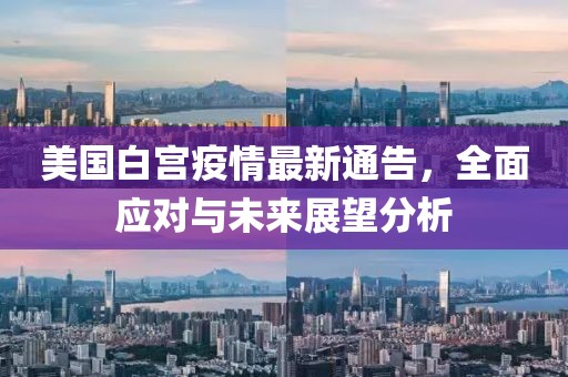 美国白宫疫情最新通告，全面应对与未来展望分析