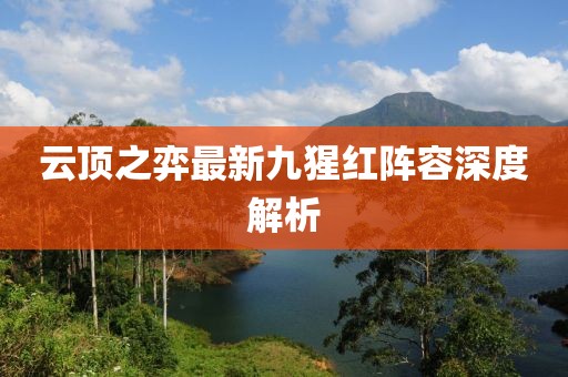 云顶之弈最新九猩红阵容深度解析
