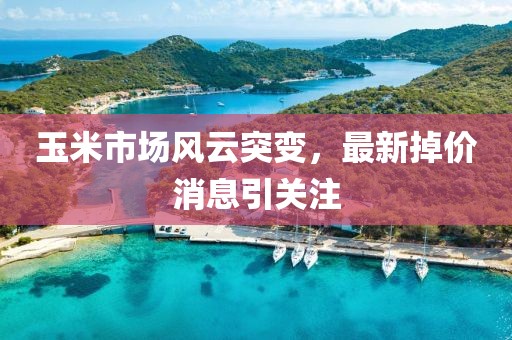 玉米市场风云突变，最新掉价消息引关注
