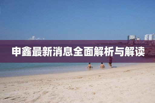 申鑫最新消息全面解析与解读