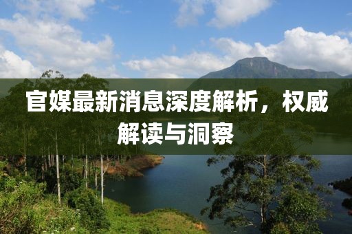 官媒最新消息深度解析，权威解读与洞察