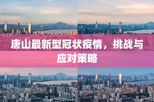 唐山最新型冠状疫情，挑战与应对策略