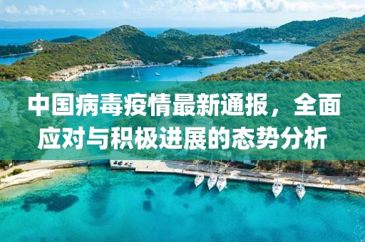 中国病毒疫情最新通报，全面应对与积极进展的态势分析