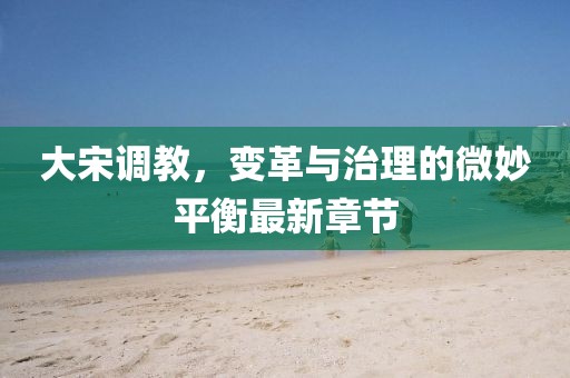 大宋调教，变革与治理的微妙平衡最新章节