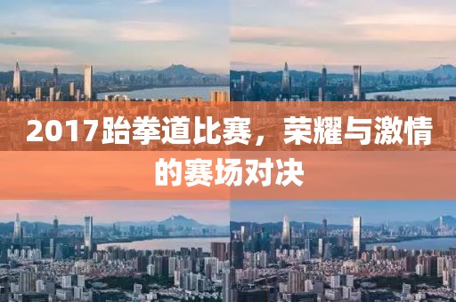 2017跆拳道比赛，荣耀与激情的赛场对决