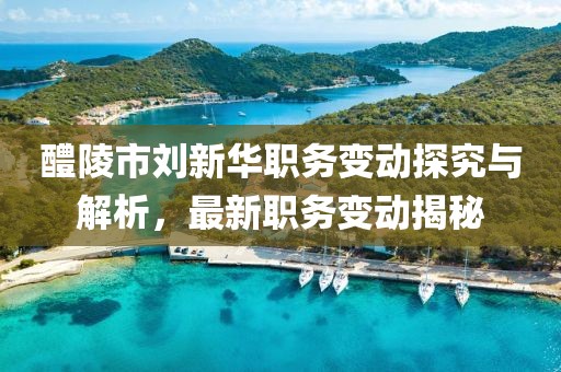 醴陵市刘新华职务变动探究与解析，最新职务变动揭秘