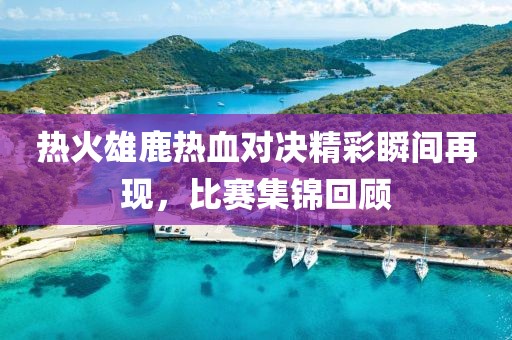 热火雄鹿热血对决精彩瞬间再现，比赛集锦回顾