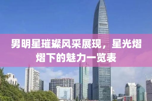 男明星璀璨风采展现，星光熠熠下的魅力一览表