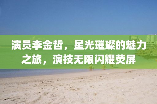 演员李金哲，星光璀璨的魅力之旅，演技无限闪耀荧屏