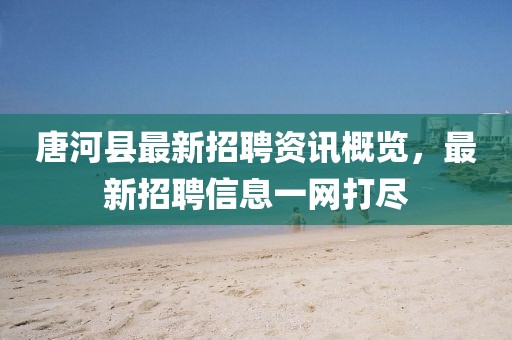 唐河县最新招聘资讯概览，最新招聘信息一网打尽