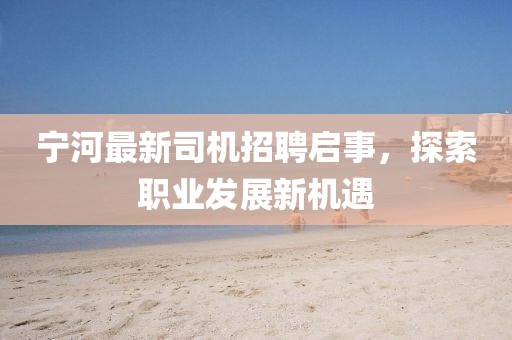 宁河最新司机招聘启事，探索职业发展新机遇