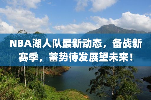 NBA湖人队最新动态，备战新赛季，蓄势待发展望未来！