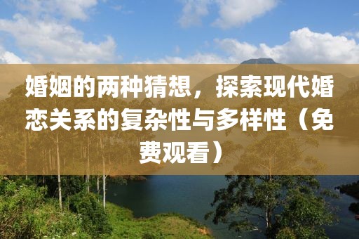婚姻的两种猜想，探索现代婚恋关系的复杂性与多样性（免费观看）