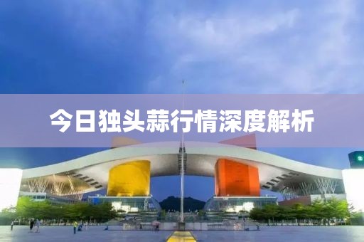 今日独头蒜行情深度解析