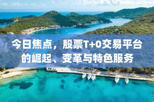 今日焦点，股票T+0交易平台的崛起、变革与特色服务