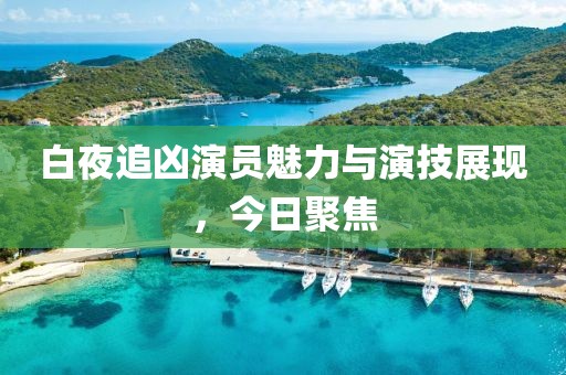 白夜追凶演员魅力与演技展现，今日聚焦