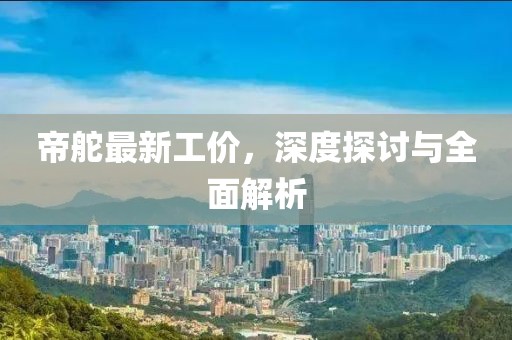 帝舵最新工价，深度探讨与全面解析