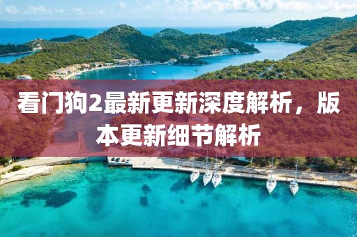 看门狗2最新更新深度解析，版本更新细节解析