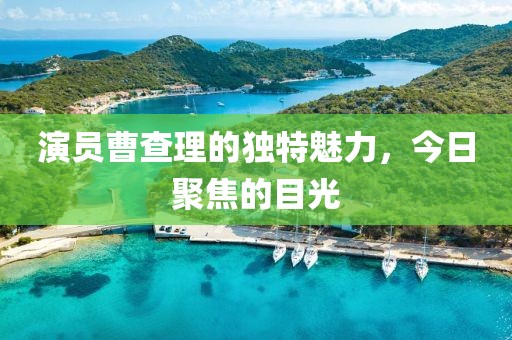 演员曹查理的独特魅力，今日聚焦的目光
