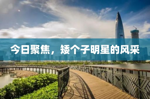 今日聚焦，矮个子明星的风采