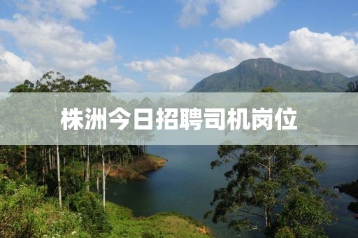 株洲今日招聘司机岗位