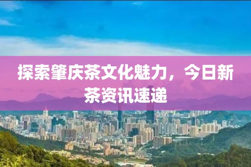 探索肇庆茶文化魅力，今日新茶资讯速递