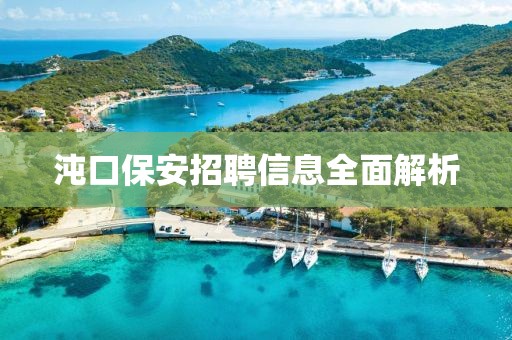 沌口保安招聘信息全面解析