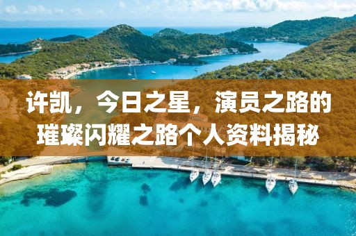 许凯，今日之星，演员之路的璀璨闪耀之路个人资料揭秘