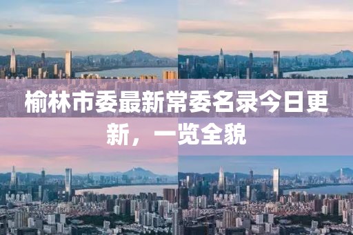 榆林市委最新常委名录今日更新，一览全貌