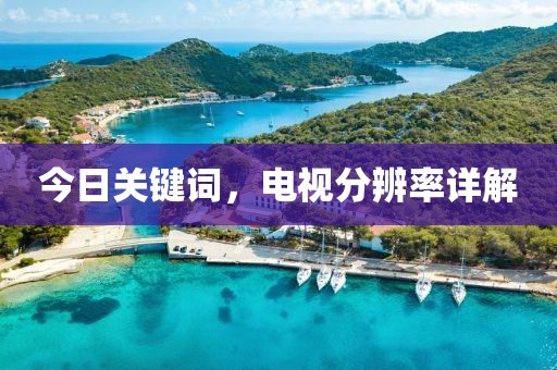 2025年4月 第234页