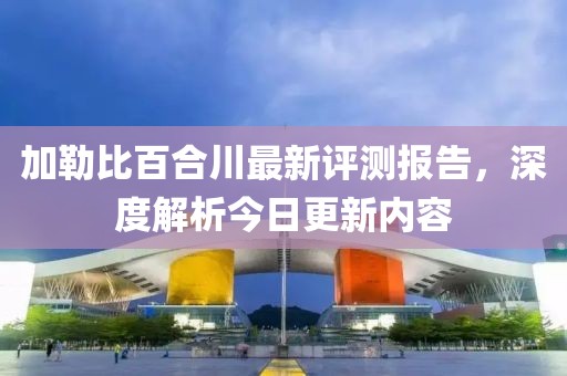 加勒比百合川最新评测报告，深度解析今日更新内容