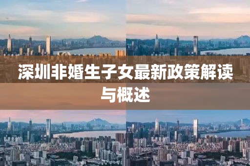深圳非婚生子女最新政策解读与概述