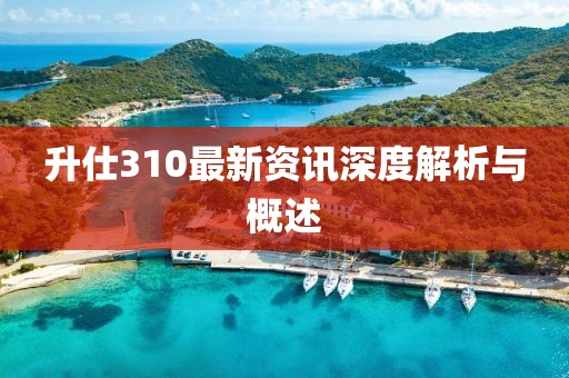 升仕310最新资讯深度解析与概述