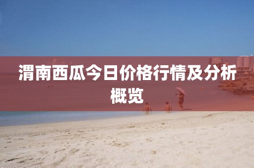渭南西瓜今日价格行情及分析概览