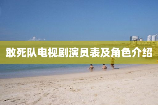 敢死队电视剧演员表及角色介绍