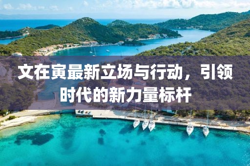 文在寅最新立场与行动，引领时代的新力量标杆