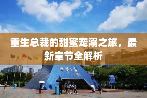 重生总裁的甜蜜宠溺之旅，最新章节全解析